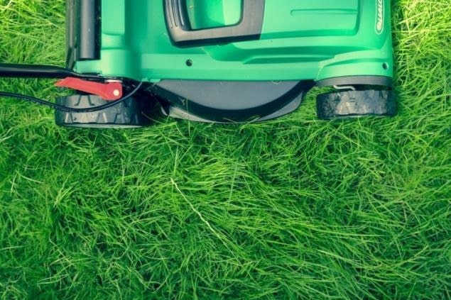 What Happens To Grass If We Don’t Cut It?
