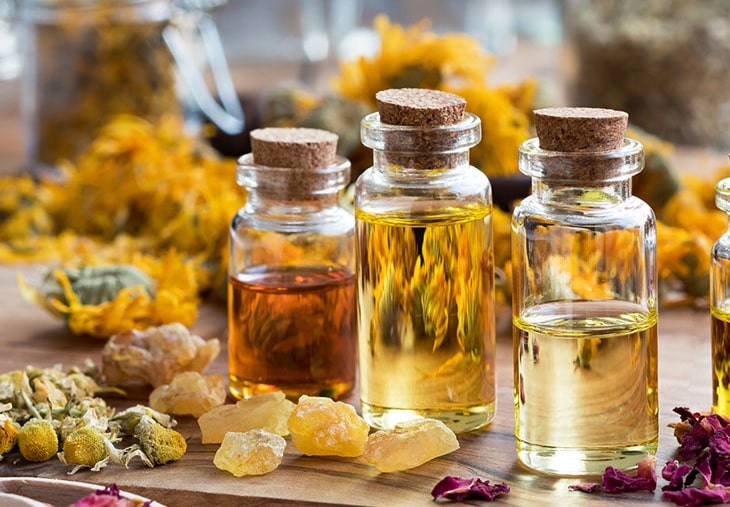 Can You Use Essential Oils In Your Garden? How and Why