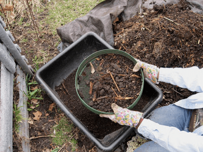 Is Unfinished Compost Bad for your Garden?