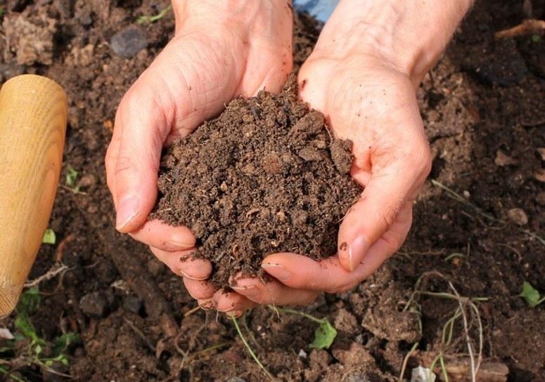 How to Mix Compost into Soil? 