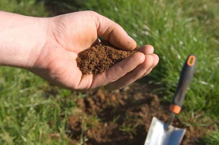 Do You Need To Test Soil Before Planting A Garden?