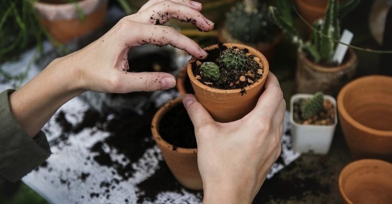 Why Is Gardening Good For Your Wellbeing and Therapeutic?