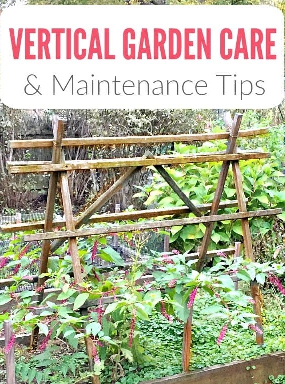 Are Vertical Gardens Hard To Maintain?