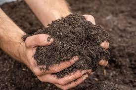 Can I Use Compost Instead of Potting Soil?