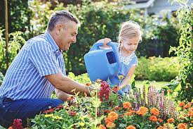 Is Gardening Good For Your Immune System?