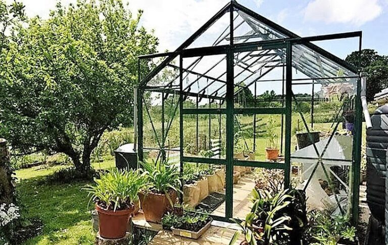 Is it a Lot of Work to Maintain a Garden Greenhouse?