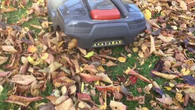 Can a Lawn Mower Be Used To Pick Up Leaves?