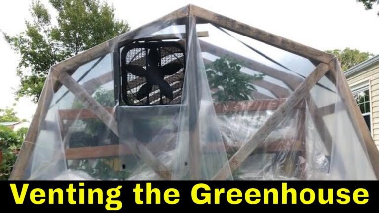 Do Greenhouses Need Ventilation?