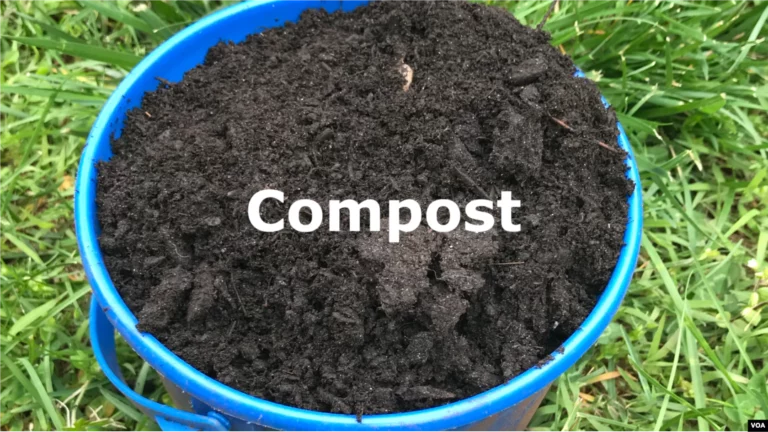 Is It Good To Put Compost In Your Lawn?