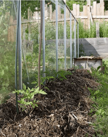 Lasagna Gardening: How To Do It?