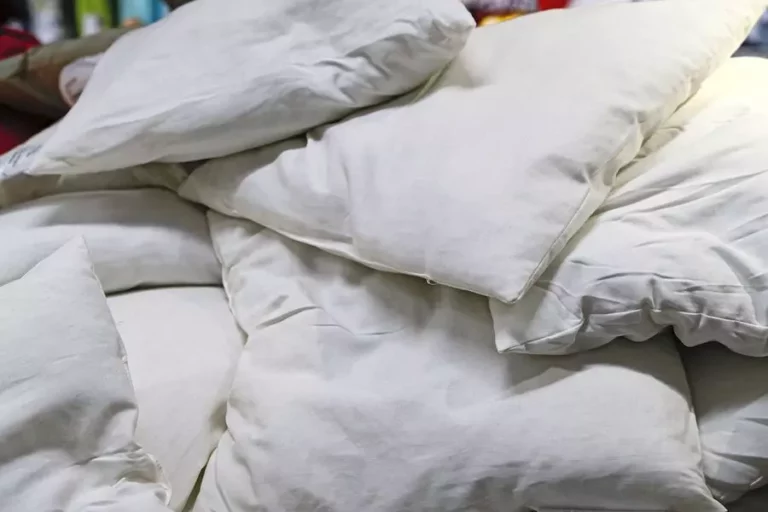 Can You Compost Feather Pillows?