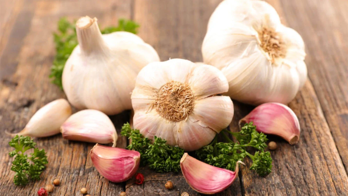 How long does garlic last 1200x675 1