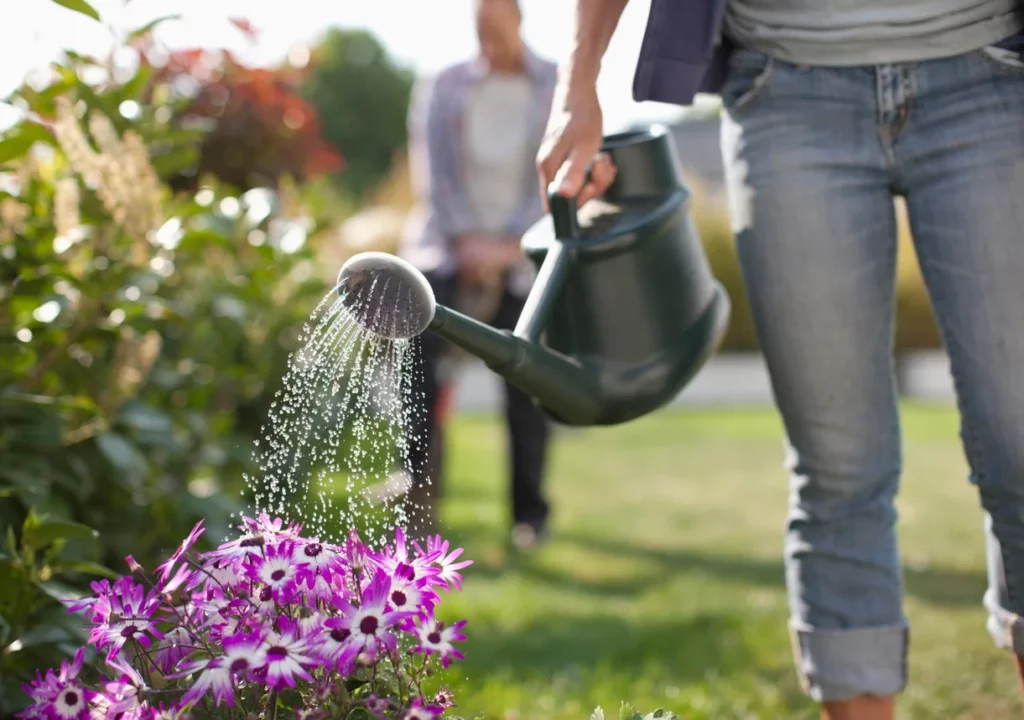 15 Tips For A Healthier Lawn