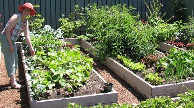5 Tips For Effortless Gardening.