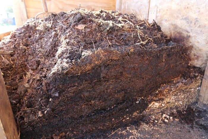 Is Your Compost Pile Supposed To Mold?