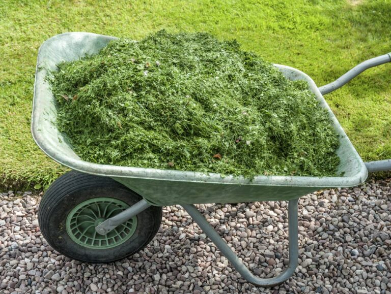 Are Grass Clippings And Compost Compatible?