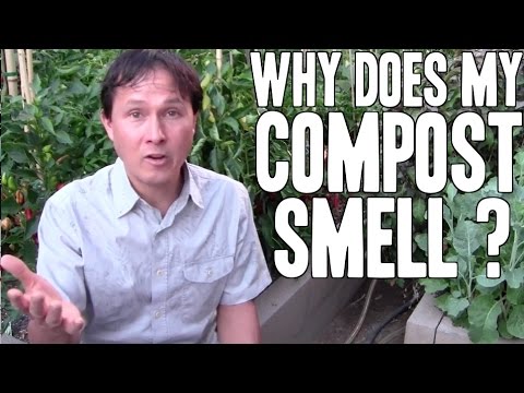 5 Reasons Your Compost Smells Bad