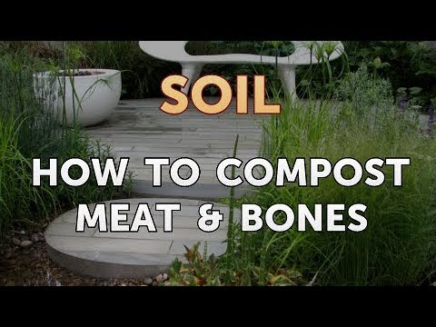 Can You Compost Animal Bones? (How Long Will It Take)