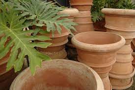 Plastic Or Clay Pots: Advantages And Disadvantages