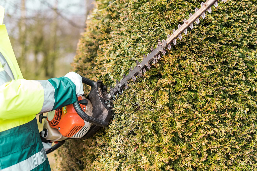 Why & How To Properly Trim A Hedge?