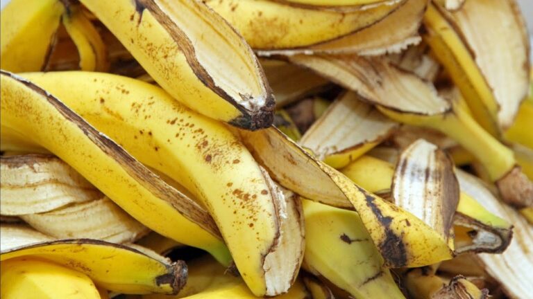 How Long Does it take a Banana Peel to Decompose into Compost?