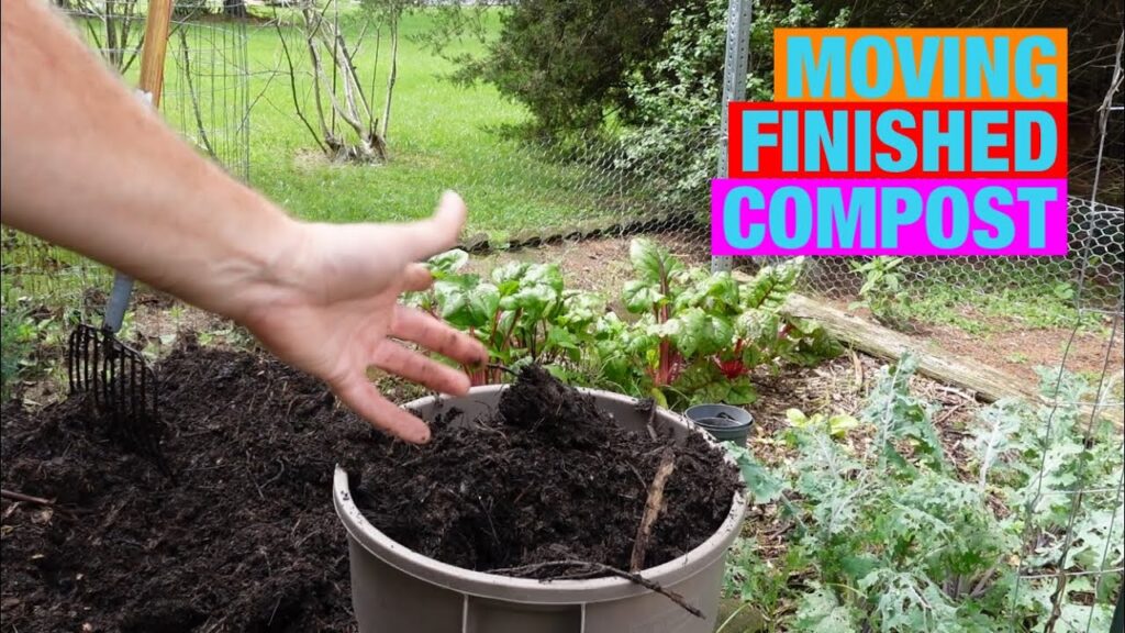 how-to-move-finished-compost-gardening-guru