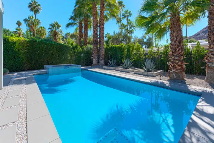 Can a Palm Tree Be Planted Near a Pool?