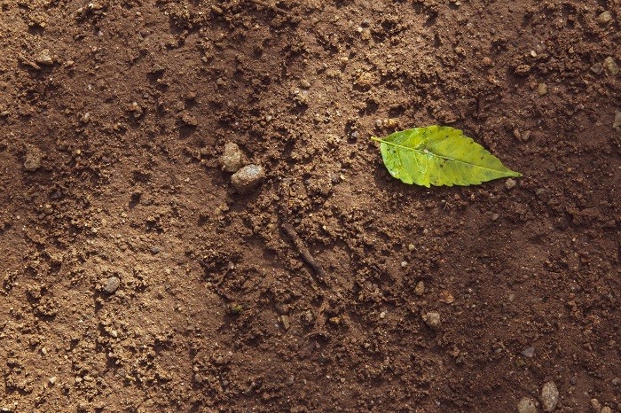 Tilling The Soil: How to Start?