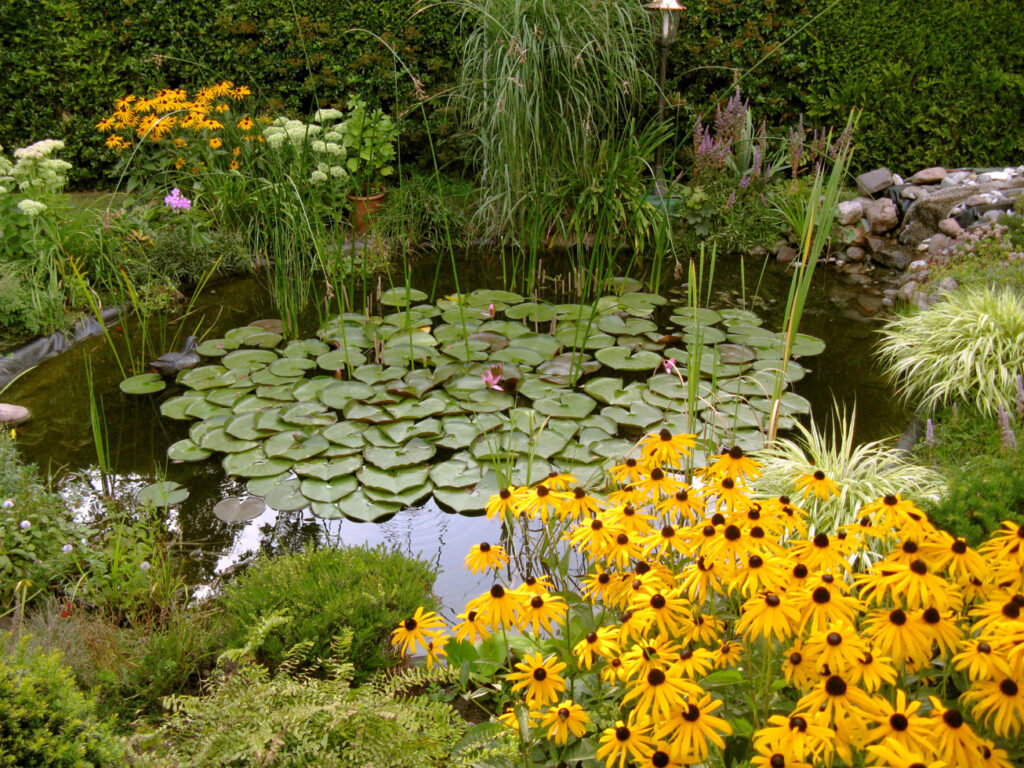 How To Safely Secure The Garden Pond?