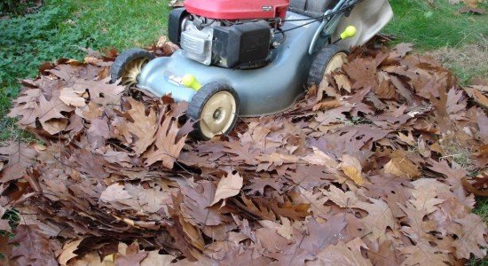 Why Fall Is The Best Time To Start A Compost Pile