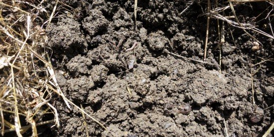 The Difference Between Good And Bad Vegetable Garden Soil