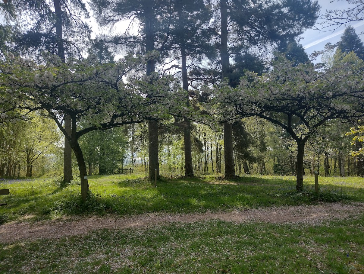 IMG 20220430 110923402 HDR
