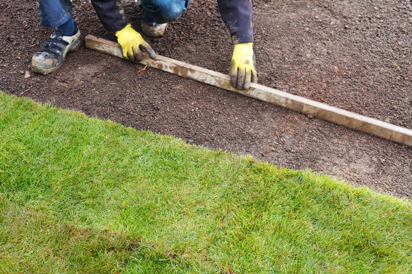 Step By Step Laying And Sowing Lawn