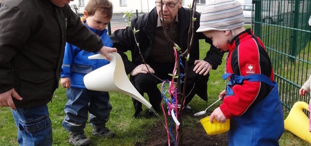 Planting Apple Tree: Here's What You Need To Watch Out For