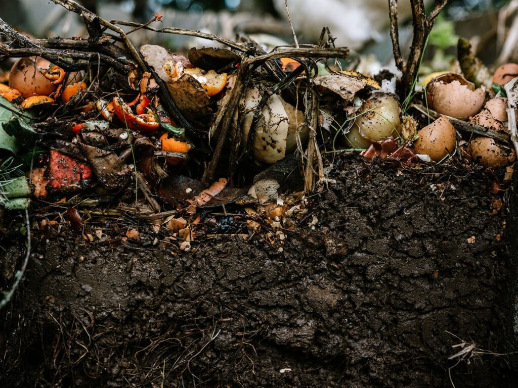 Surface Composting: How To Do It And Its Benefits