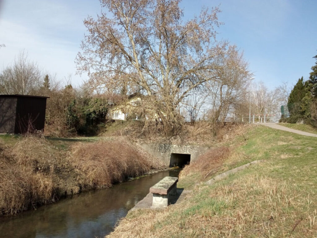 Why Natural Rivers And Streams Are Important