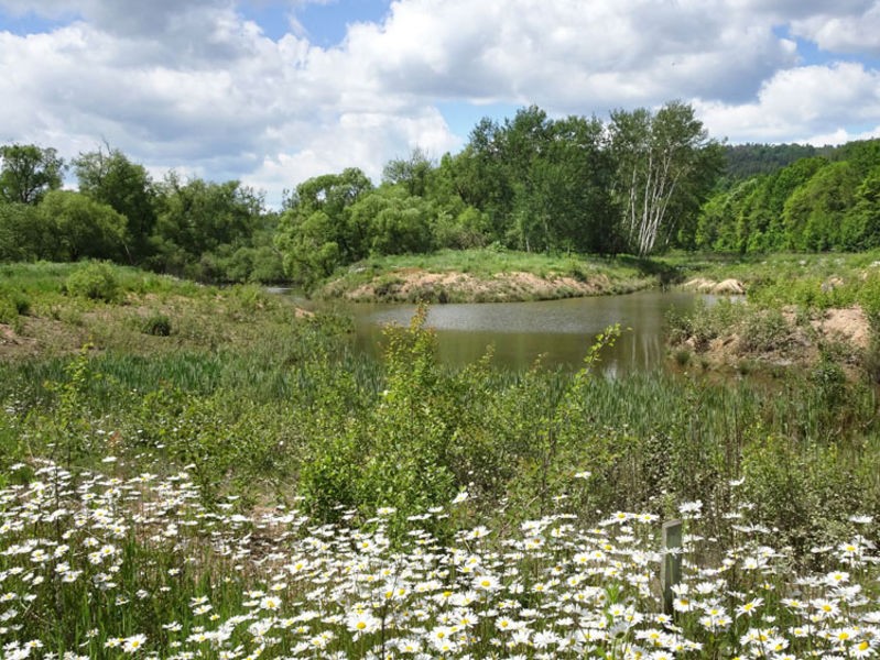 Why Natural Rivers And Streams Are Important