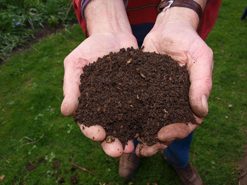 Gardening Is Better Without Peat