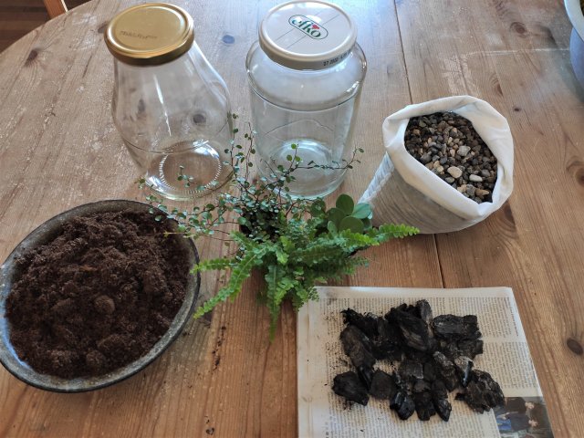 How To Make A Bottle Garden For Your Desk