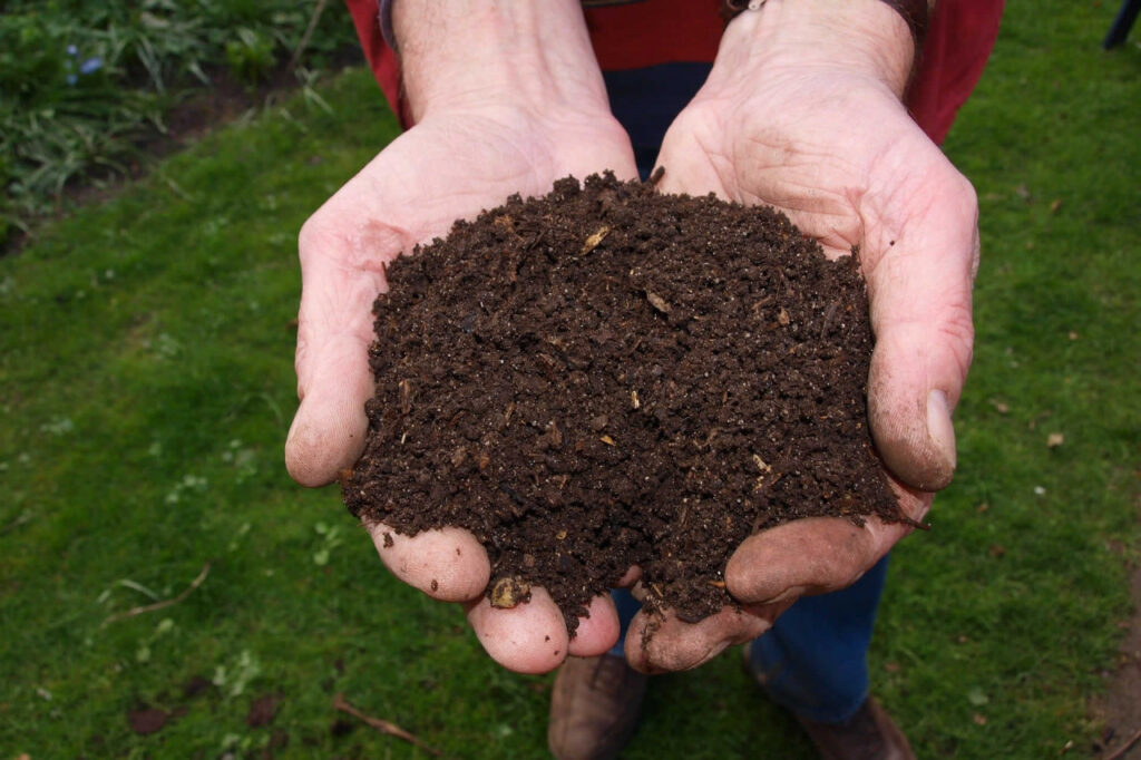 Surface Composting: How To Do It And Its Benefits