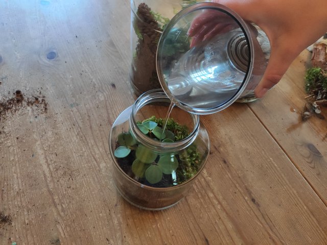 How To Make A Bottle Garden For Your Desk