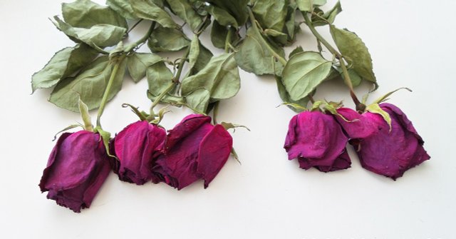 Drying Flowers: Simple Methods For The Bouquet Or Flowers