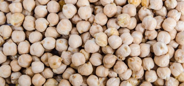 How To Plant And Care For Chickpeas