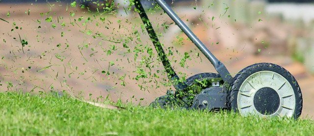 Reuse Lawn Clippings Instead Of Throwing Them Away: 4 Tips