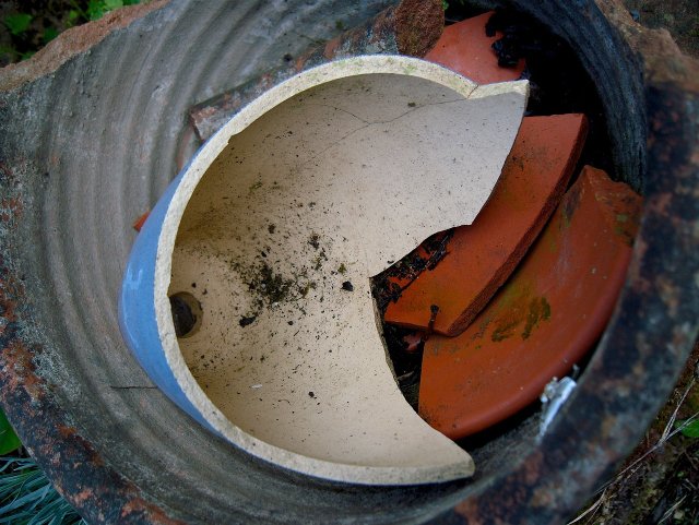 How To Build Your Own Snail Trap: Get Rid Of Them With Natural Means