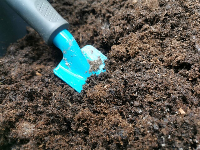 How To Make Peat-free Soil Yourself: Instructions For Sustainable Soil