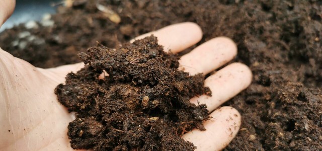 How To Make Peat-free Soil Yourself: Instructions For Sustainable Soil