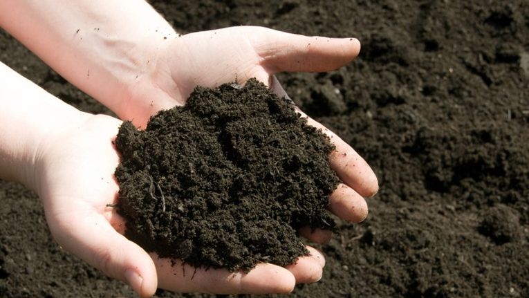 How Long Does It Actually Take To Make Compost?