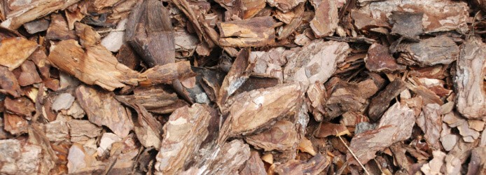 Spread Bark Mulch In The Fall Or Spring?