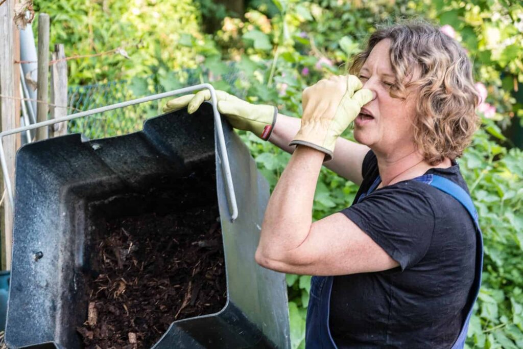 Building A Composting Toilet: How To Create Your Natural Toilet